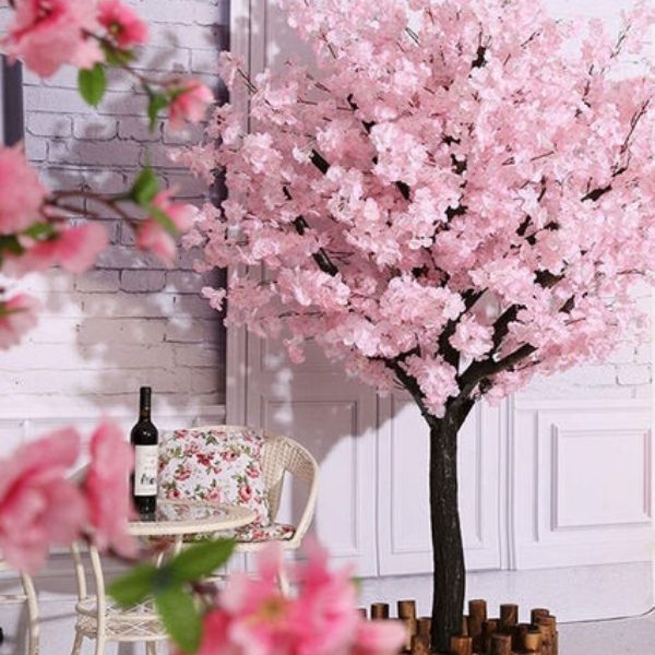 cherry blossom tree next to chair